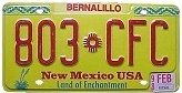 NM License Plate